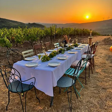 With Private Pool In Vineyard *