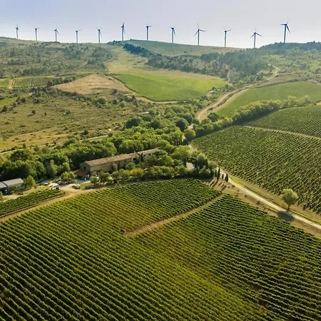 With Private Pool In Vineyard * Roquetaillade