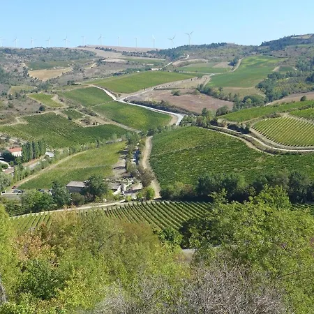 With Private Pool In Vineyard Holiday home *